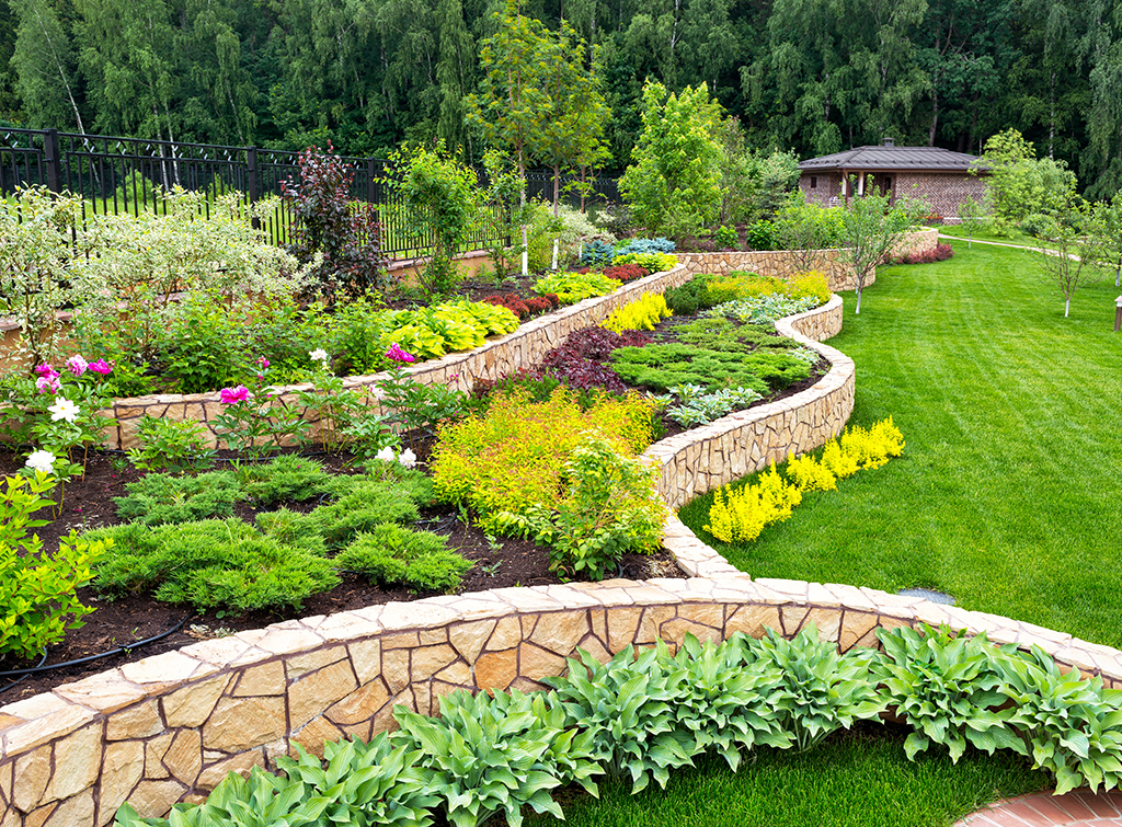 Landscaped Garden
